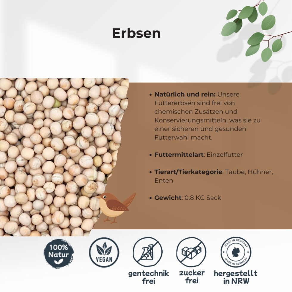 Erbsen-0-8kg-Getreide-Saat-Körner-3.jpg