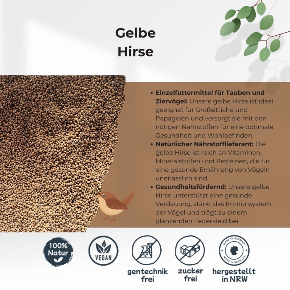 Gelbe-Hirse-25kg-Getreide-Saat-Körner-2.jpg