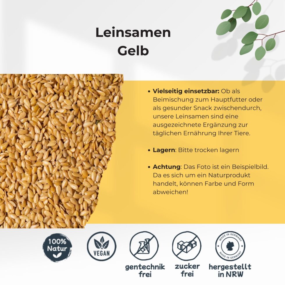 Leinsamen-Gelb-4.jpg