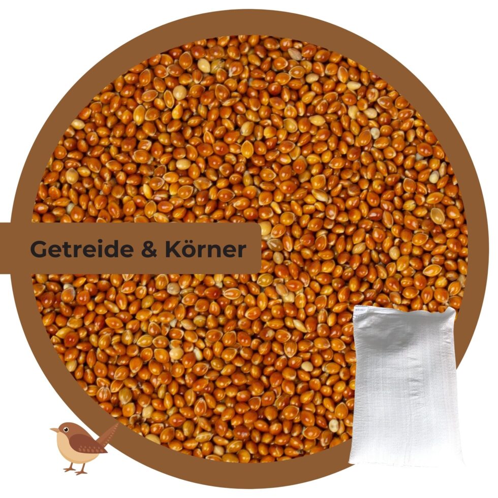 Rote-Hirse-25kg-Getreide-Saat-Körner-1.jpg