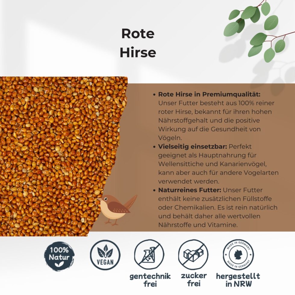 Rote-Hirse-25kg-Getreide-Saat-Körner-2.jpg