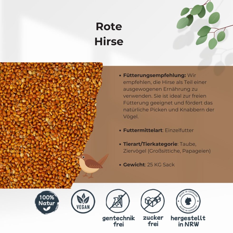 Rote-Hirse-25kg-Getreide-Saat-Körner-3.jpg