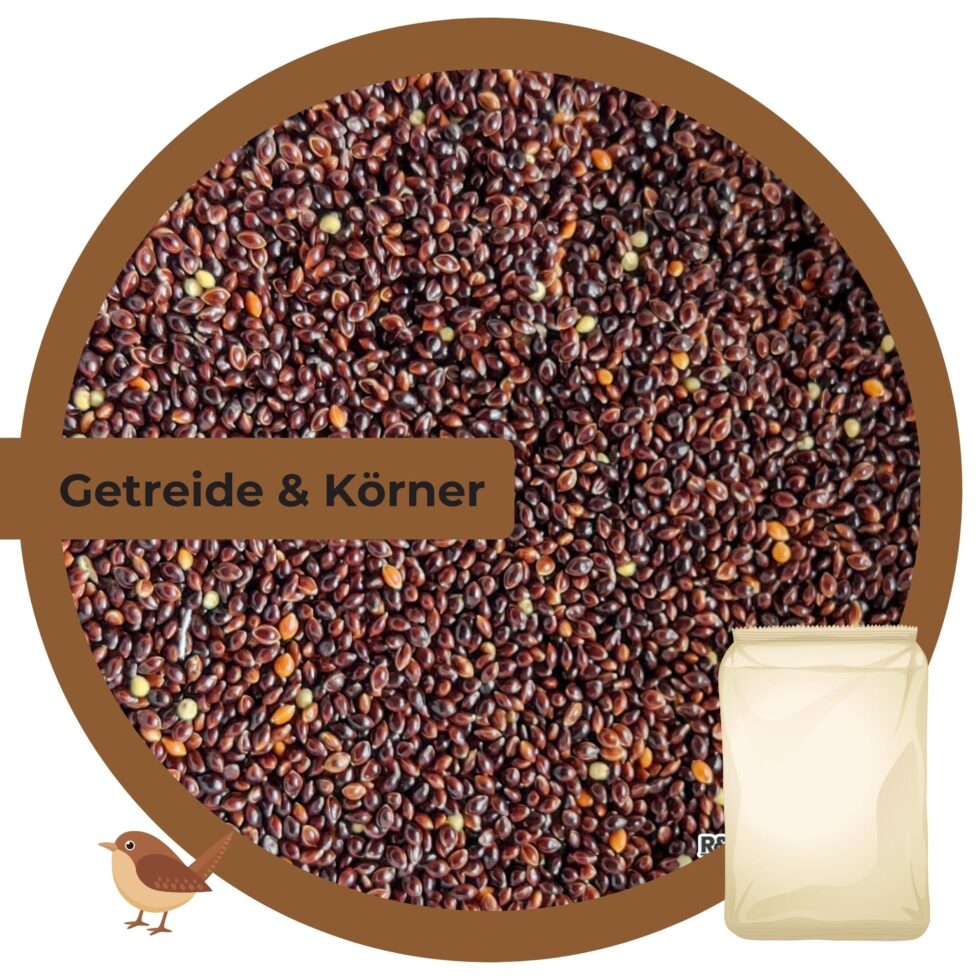 Schwarze-Hirse-25kg-Getreide-Saat-Körner-1.jpg