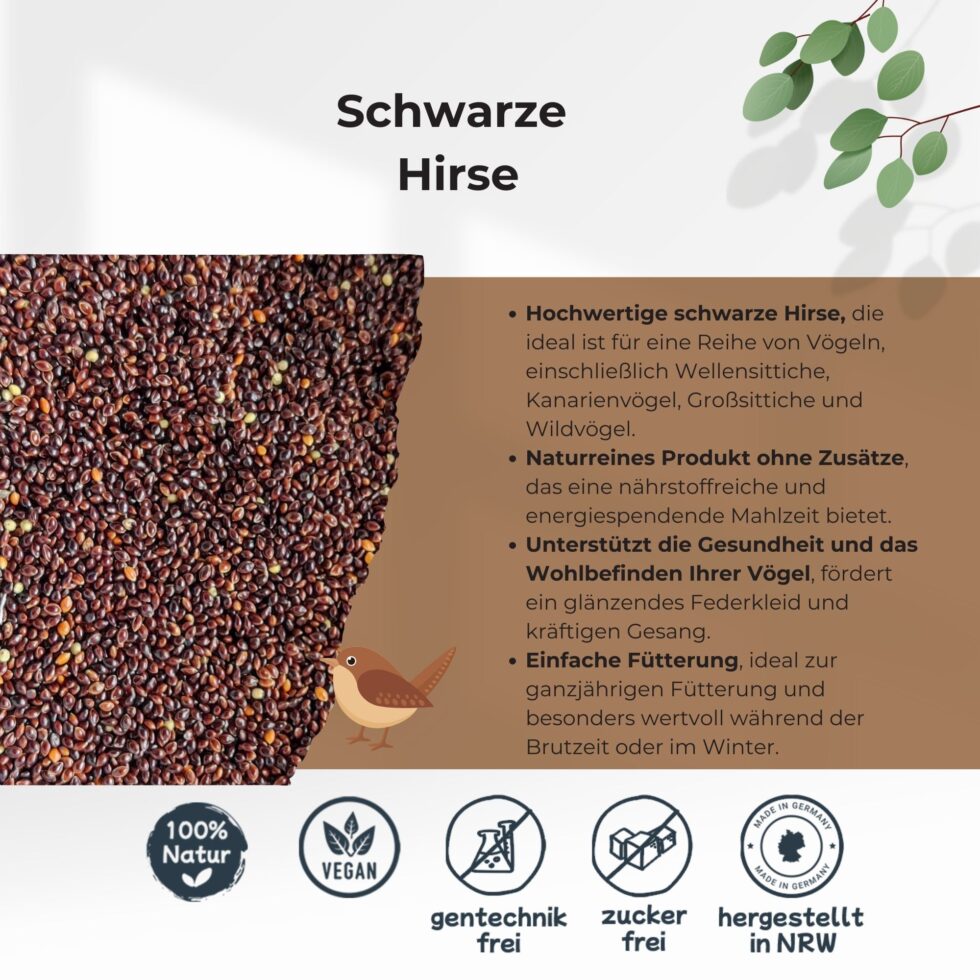 Schwarze-Hirse-25kg-Getreide-Saat-Körner-2.jpg
