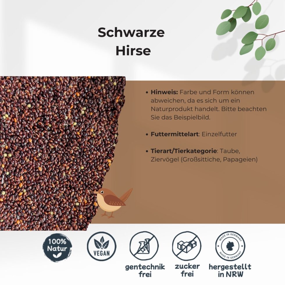Schwarze-Hirse-25kg-Getreide-Saat-Körner-3.jpg