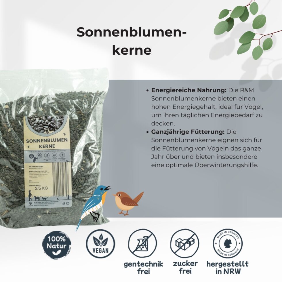 Sonnenblumenkerne-Sonnenblumen-3.jpg