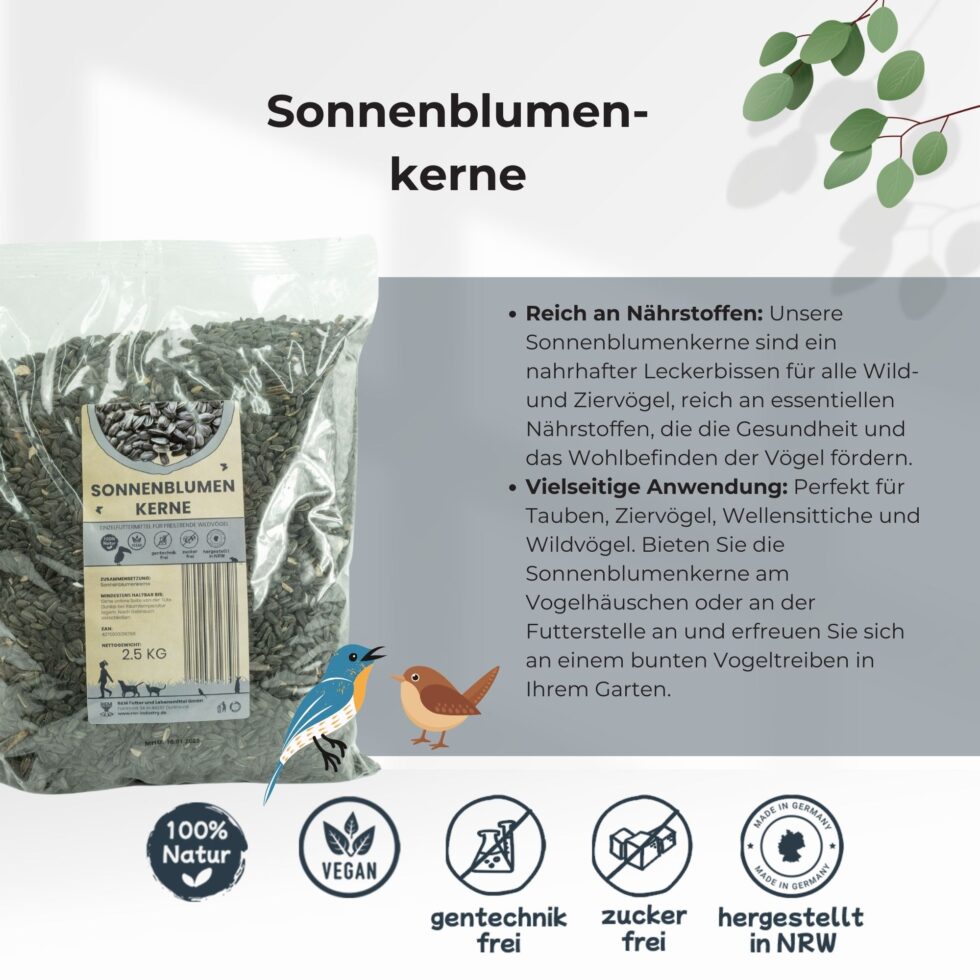 Sonnenblumenkerne-Sonnenblumen-4.jpg