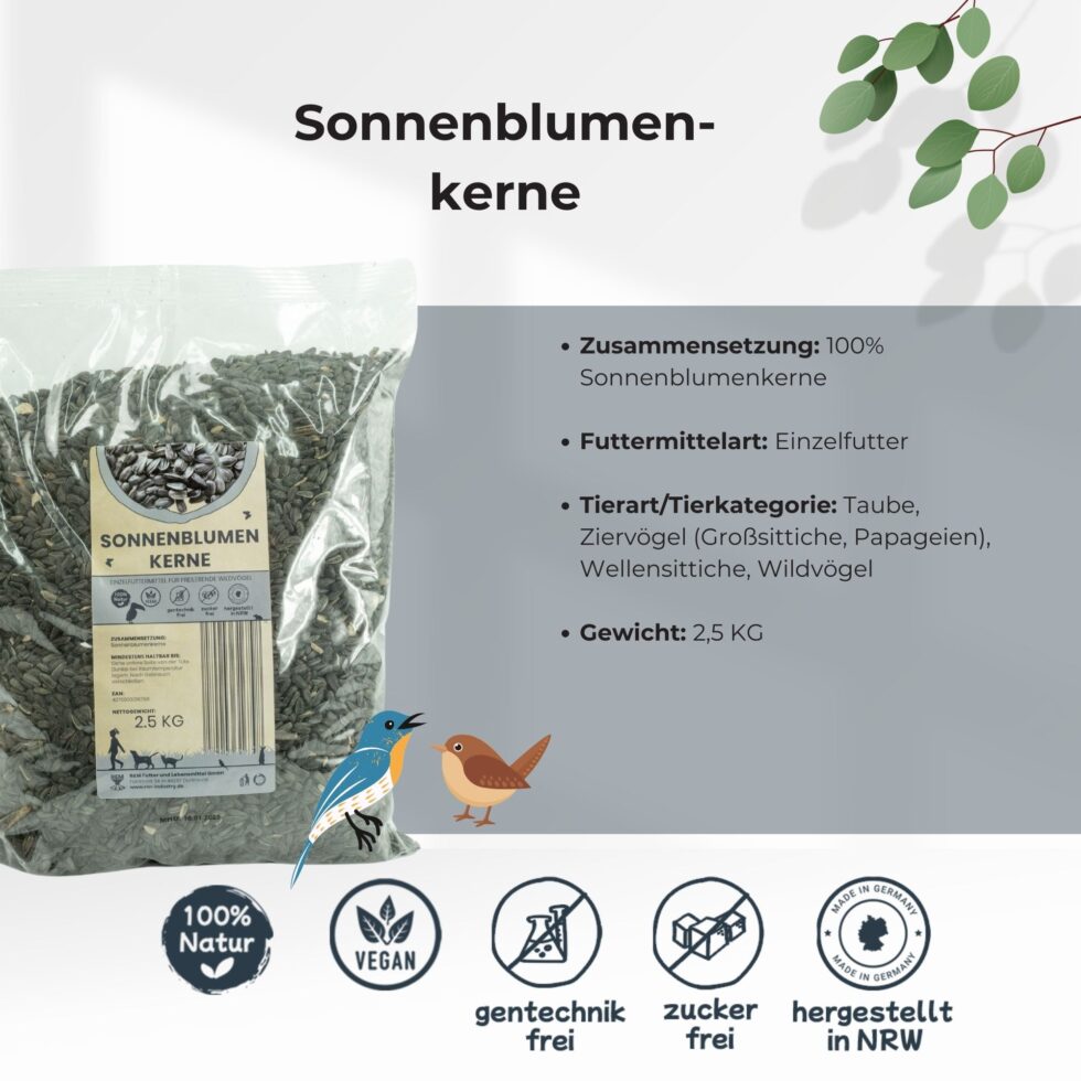 Sonnenblumenkerne-Sonnenblumen-5.jpg