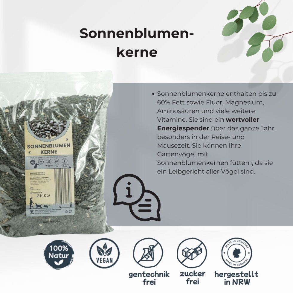 Sonnenblumenkerne-Sonnenblumen-6.jpg