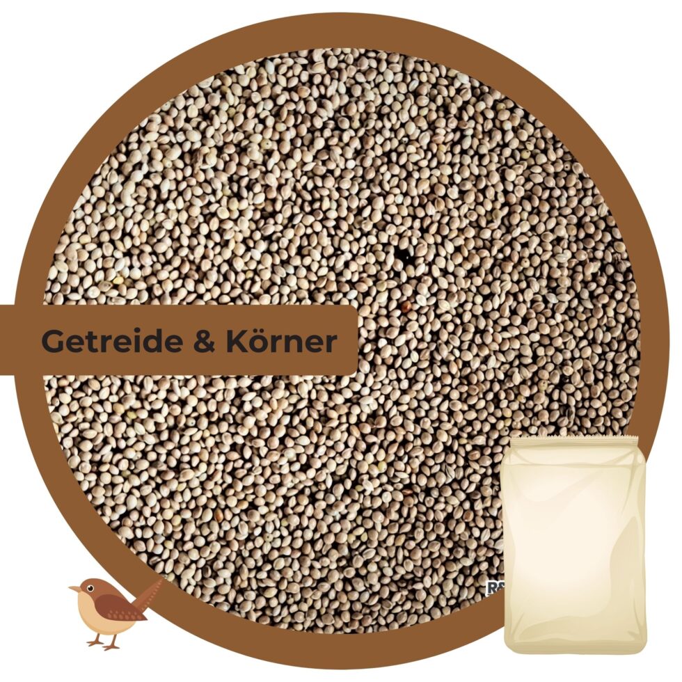Weiße-Hirse-25kg-Getreide-Saat-Körner-1.jpg