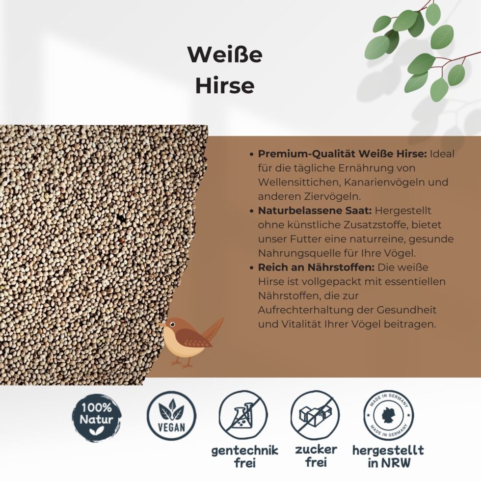 Weiße-Hirse-25kg-Getreide-Saat-Körner-2.jpg