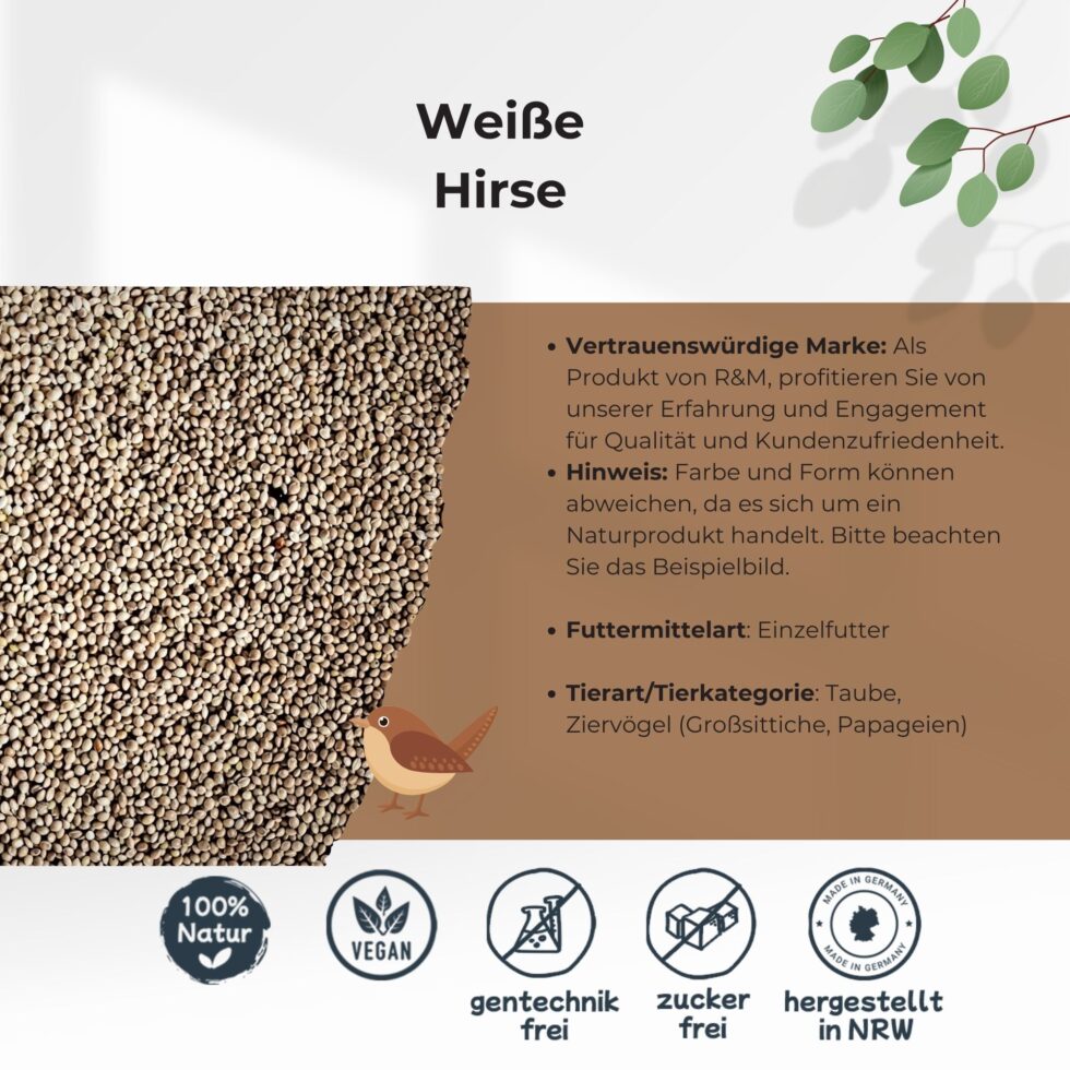 Weiße-Hirse-25kg-Getreide-Saat-Körner-3.jpg